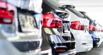 illustration article lizfleet