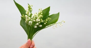 1200x680 gettyimages 538120386